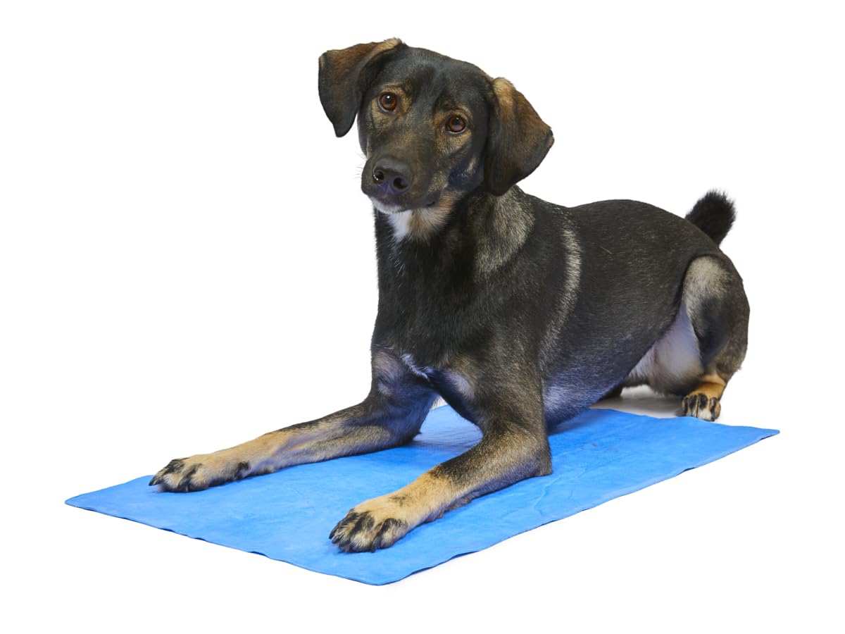 Petface Serviette rafraîchissante pour Animal de Compagnie Bleu 66 x 43 cm