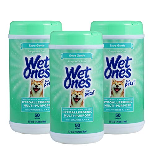 Top 10 Best Dog Paw Wipes Reviews & Buying Guide D and T Custom