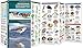 Assateague/Chincoteague Seashore Life: A Folding Pocket Guide to Familiar Species (A Pocket Naturalist Guide)