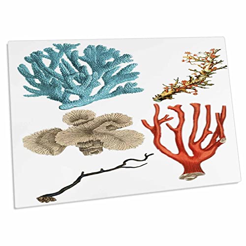 3dRose Sea Life - Pad de Escritorio Coral y Vida Marina miniatura 1