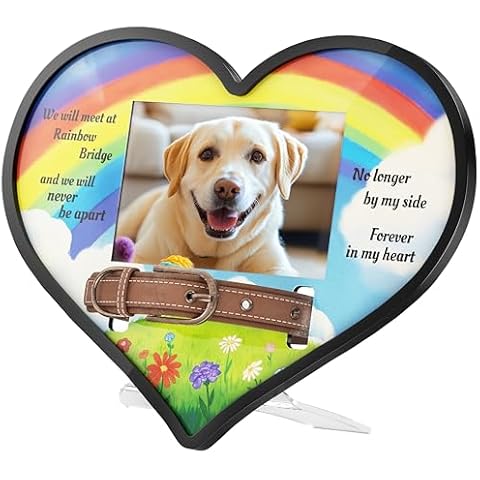Grarry Pet Memorial Gifts for Dogs Cats, Rainbow Bridge Dog Memorial Gifts, 4"x6" Picture Dog Collar Memorial Frame Heart-Shaped for Loss of Dog, Acrylic Pet Loss Sympathy Gift Pet Remembrance Gift Cover