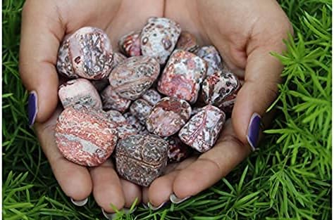 Miniatura 2 de Jet - Piedra pulida auténtica de piel de leopardo (una pieza), atractivas piedras auténticas de aproximadamente 0.71-1.06 oz (jaspe de piel de