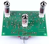  EL 84 SE Tubeland Bausatz mit Röhren