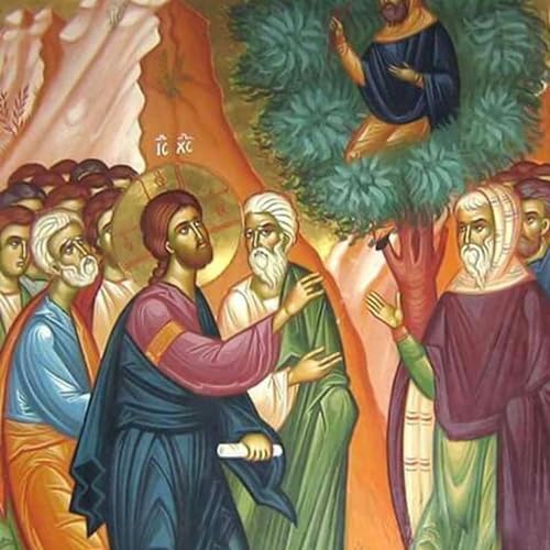 Connecting Zacchaeus to Our Stewardship - Main Sermon 1/25/26