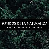  Tormenta Fuerte