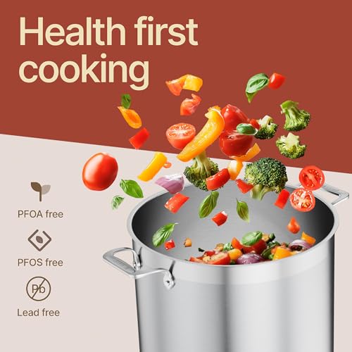 20 Quart Stainless Steel Stockpot