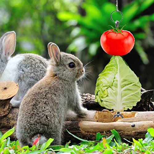 Brinquedo alimentador de pássaros | Alimentadores de papagaio de aço inoxidável - Brinquedo acessóri