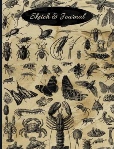 Nature Sketch & Journal: 120 composition notebook pages alternating wide-ruled and blank