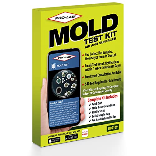7 Best Mold Detection Kit Reviews + Guide