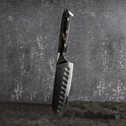 Damaso Santoku Messer (12,7cm), Black Aurora Kochmesser aus 67 Lagen Damastmesser, Japanisches Messer, Damast Küchenmesser