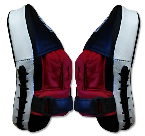 Leather Curved Punch Mitts for Boxing, Muay Thai, MMA, Kickboxing, Martial Arts