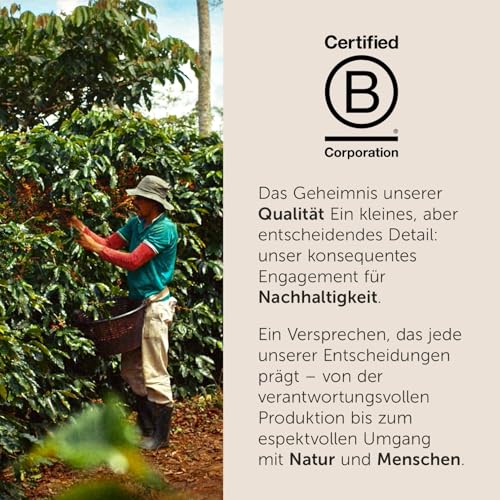 illy, Kaffeebohnen Zum Mahlen CLASSICO, 100 % Arabica mit Noten von Orangenblüten und Jasmin, Sanfter Geschmack und Süßer Nachgeschmack, 1 Dose mit 500g