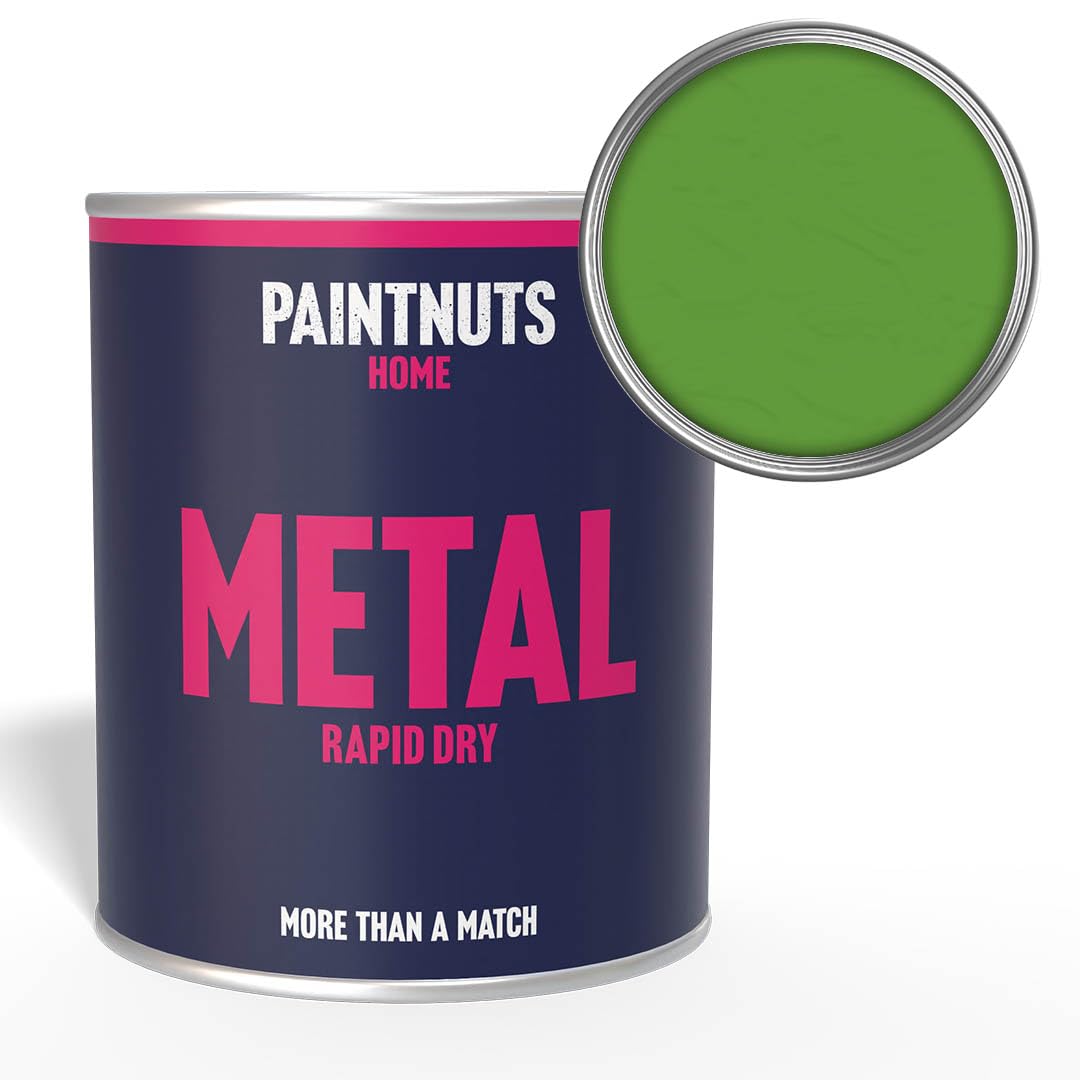Paintnuts Rapid Dry Metal PaintLight Green (Ral-6018)Gloss Finish500Ml from B&Q