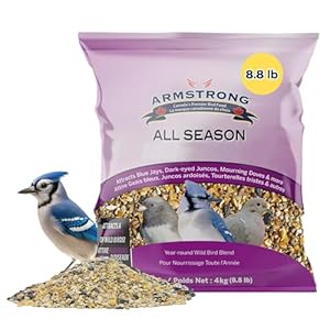 Armstrong All Season Blend, Premium Wild Bird Seed Mix, 4KG (8.8LB) Bag