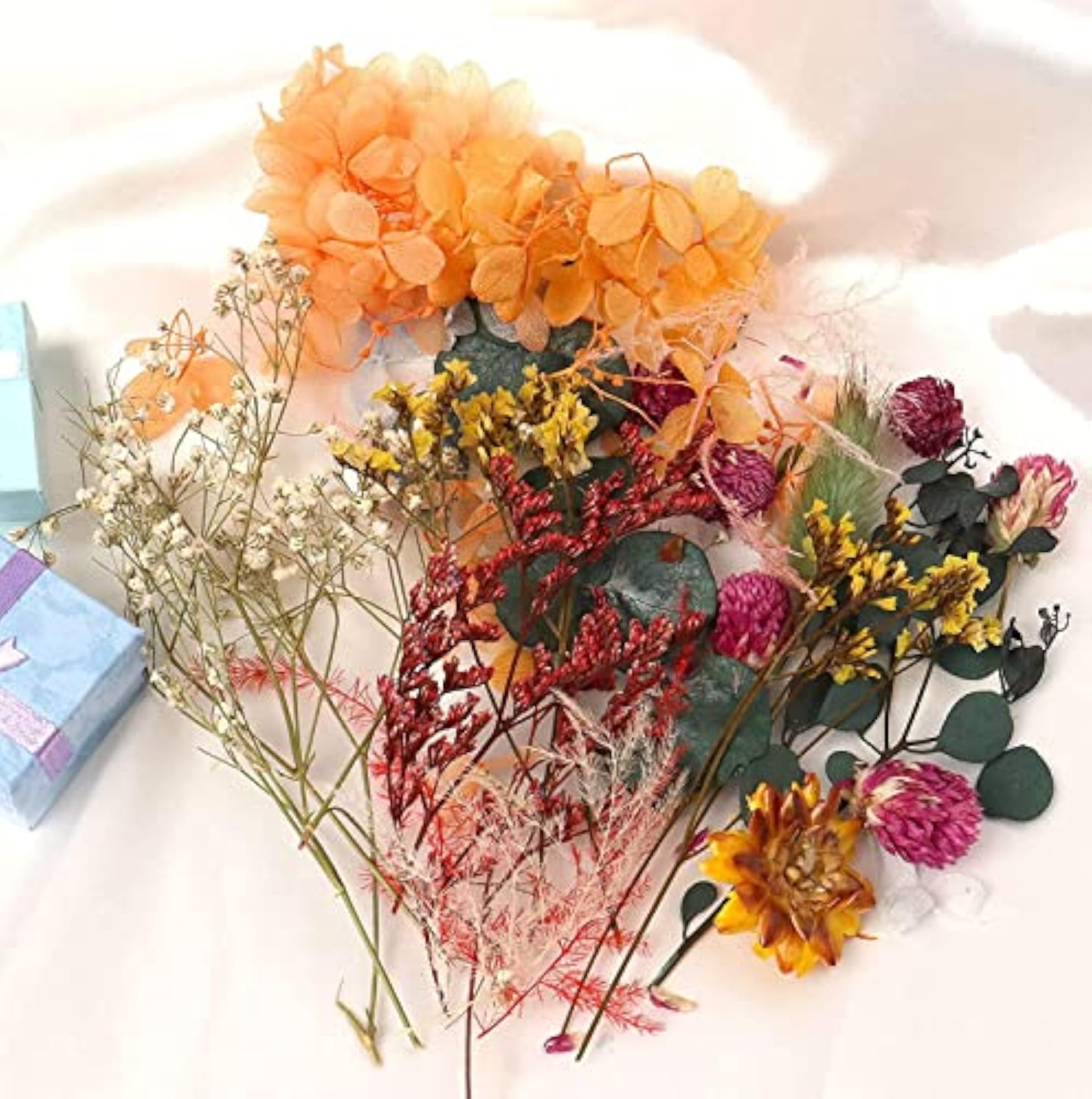 Natural Real Dried Flowers for Art Craft