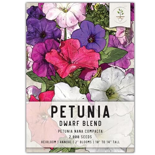 Seed Needs Petunia Seeds for Planting a Dwarf Mixture of Flowers - Heirloom & Open Pollinated - Grow an Outdoor Butterfly Garden to Attract Butterflies, Bees & Pollinators (1 Pack)