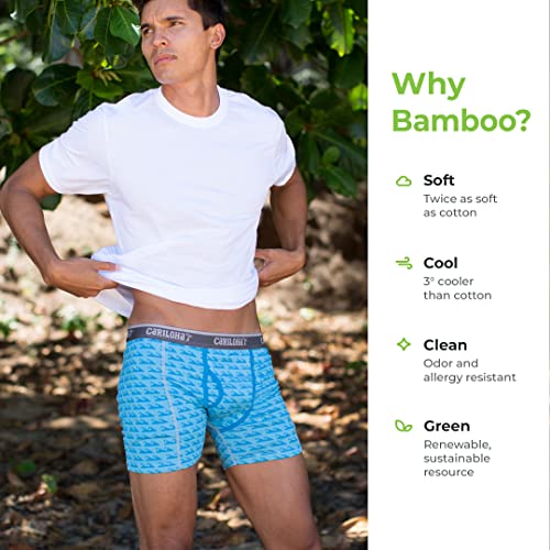 Cariloha Men's Bamboo-Viscose Boxer Briefs - Breathable Underwear For Men - Medium - Caribbean Blue Wave #TOP2