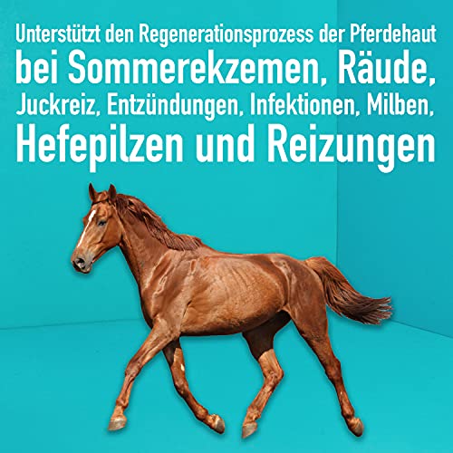 Green Hero Pferdepflege Pflegt die Haut und unterstützt den Regenerationsprozess bei Sommerekzemen Räude Juckreiz Milben Hefepilzen Reizungen für Pferde 500ml