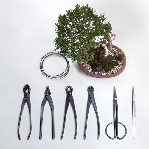 M METERXITY Bonsai-Werkzeug - 11-Zoll-Edelstahl-Konkavschneider, Werkzeuge zur Modellierung von Bonsaibäumen, geeignet für das Beschneiden von Knospen/Ästen im Gartenbau (280 mm, Silber)