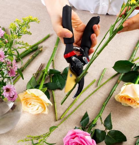 Image of Mozarto Heavy Duty Gardening Scissor /Plant Cutter For Garden /Branch Cutter For Plants /Flower Cutter /Pruners For Plants /Wood Branch Trimmer /Secateurs /Pruning Shears Blade (Black)