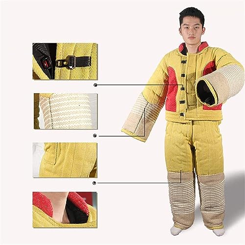 Entraînement de chien avec la combinaison anti-morsure