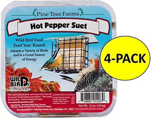 Amazon.com : 6 Pack Pine Tree Farms Peanut Butter Suet Cake Wild Bird