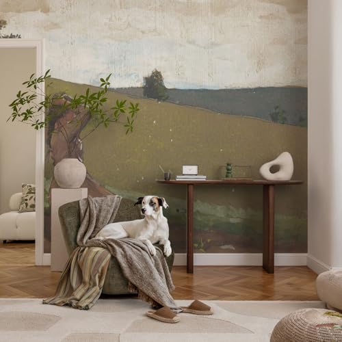 Cubiertas de pared autoadhesivas para tapar imperfecciones con papel pintado 3