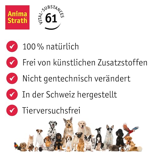 Anima-Strath Thymian – Flüssige Atemweg Unterstützung für Hunde + Katze | Natürliches Hustensaft Tonicum bei Husten & Schnupfen | Stärkt Immunsystem mit 61 Mikronährstoffen & Mineralien