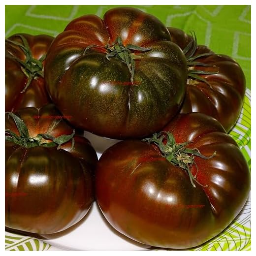 Tomate Black Krim alte russische Sorte schwarze Fleischtomate kältetolerant Tomatensamen 10 Samen von "der-kleine-gaertner"