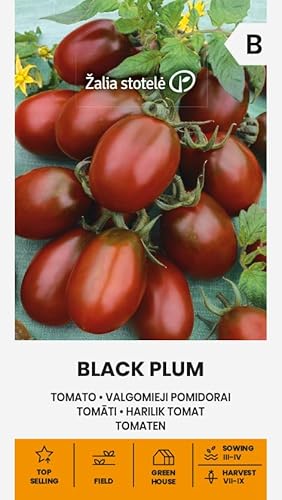 Zalia stotele | Tomaten - BLACK PLUM samen | Gemüsesamenc | Eine mittelfrühe, ertragreiche, hochstämmige Sorte | Tomatensamen | Pflanze samen | Gardensamen | 1 Pack