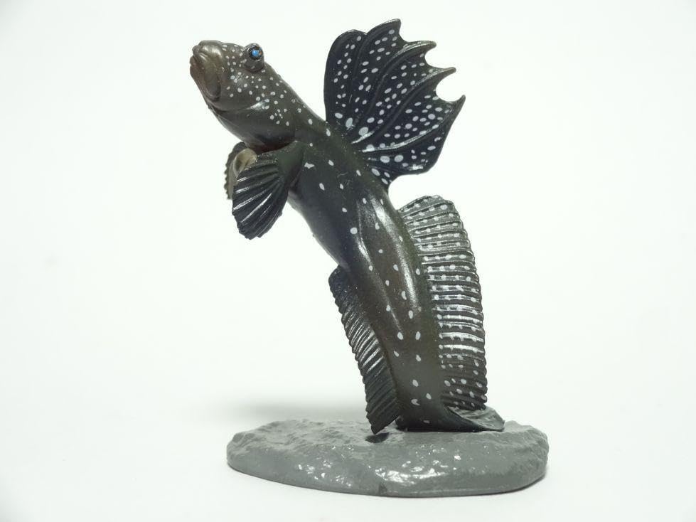 ムツゴロウ 原色海水魚図鑑 Amazon.co.jp: ユージン 原色図鑑シリーズ原色海水魚図鑑Ⅱ