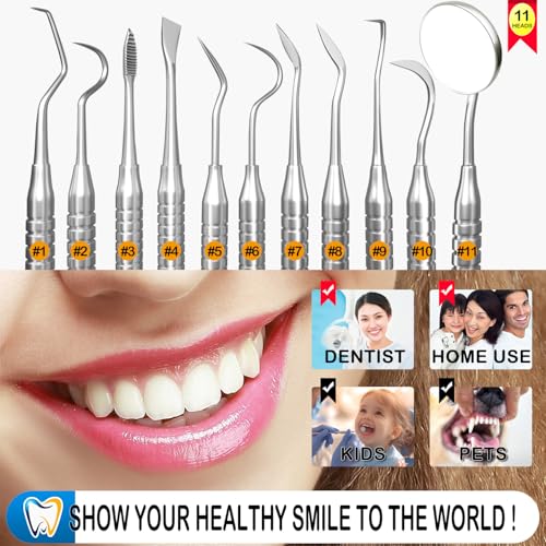 image for CATACC PRO Dental Tools, Dental Pick for Teeth Cleaning, Stainless Ste