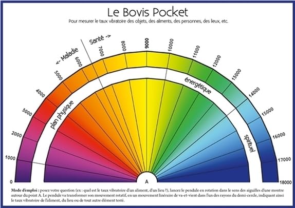 Le bovis pocket: Planche A6