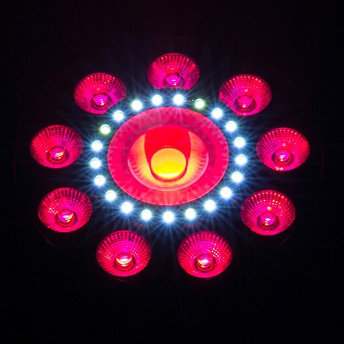 CHAUVET DJ FXPAR9 projecteur LED multi-effets avec stroboscope intégré