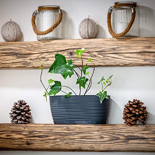 KADAX Blumentopf mit Untersetzer, Blumenkübel, Pflanzkübel für Innen, Leichter Pflanztopf aus Kunststoff, Übertopf für Blumen, Pflanzen… – Ansicht 3
