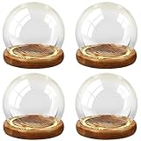 Funtery 4 Pieces Christmas DIY Clear Glass Dome Keepsake Globe Display Case with Light Wood Base Decorative Snow Globe Kit Plant Terrarium Decor for Women Craft Tabletop Gift(Classic,4 Pcs)
