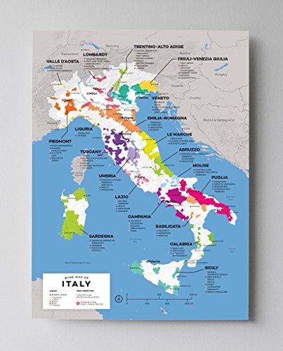Wine Folly - Complete Wine Map 1st Edition Poster Print Set of 24 Major Wine Producing Countries/Regions (12" x 16")