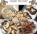 DABC OAK LAND 1LB Dried Flower Mushroom,Dried Shiitake Mushrooms for Cooking, Dehydrated Mushrooms, Dry Fresh Vegan No Fumigation Sulfur Premium Grade 16OZ/Bag