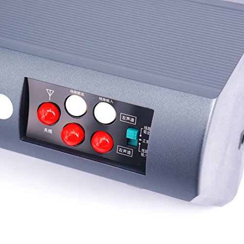 Tecsun B-5 Wireless Bluetooth Speaker With Digtial Fm Radio And Mp3 Player - Black #TOP5