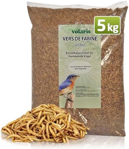 Eggersmann volaris 5 kg de vers de Farine séchés | Riche en proté...