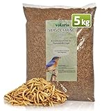 Eggersmann volaris 5 kg de vers de Farine séchés | Riche en protéines & Naturel | Idéal pour Tous Les Types d'oiseaux | Nourriture pour Oiseaux Sauvages Toute l'année