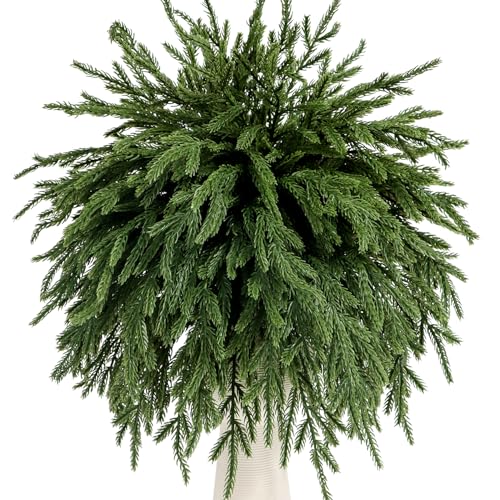 12 Pcs Norfolk Pine Branches 17