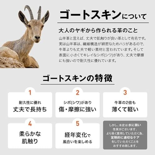 namelessage(ネームレスエイジ) スノーボード グローブ GORE-TEX インナーグローブ付き レザー 全5色 4サイズ AGE-61TR の商品画像 2