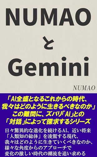 NUMAOとGemini