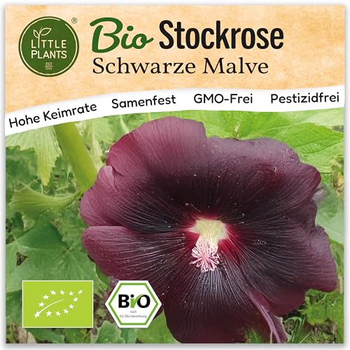 Little Plants BIO Schwarze Stockrose Samen 100 Rosensamen Schwarze Malve Blumensamen Samenfest für Blumengarten Blumen Samen für Balkon, Hochbeet und Garten Little Plants BIO Schwarze Stockrose Samen 100 Rosensamen Schwarze Malve Blumensamen Samenfest für Blumengarten Blumen Samen für Balkon, Hochbeet und Garten