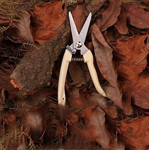 HFJKD Garden scissors, grafting tool, fruit tree pruning shears, bonsai mowers, garden scissors, garden scissors, easy pruners