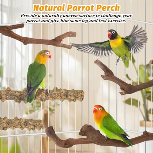 Image of kathson 5pcs Natural Parrot Perch for Cage Wooden Bird Perches Grape Bird Stick Parakeet Climbing Standing Branches Toy Chewable Cage Accessories for Small Budgies Cockatiels Lovebirds Budgies