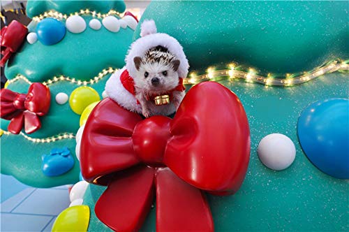 Disfraz para erizo Navidad Santa Claus talla XS miniatura 4