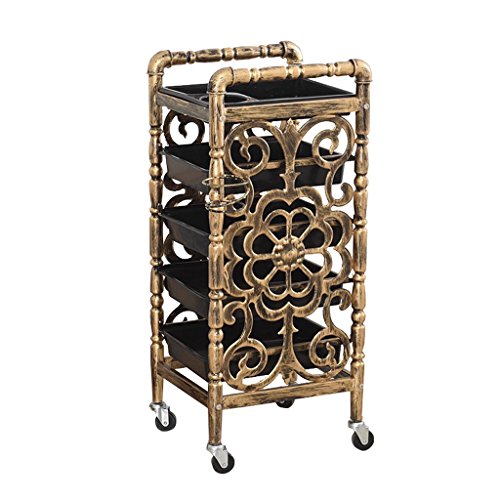 YuanYu Trolley-5 Layer Hairdressing Tool Cart Barber Shop Beauty Shop Mobile Trolley Multi-function Mobile Rack shelf trolley (Color : B, Size : 37 * 33 * 90cm)