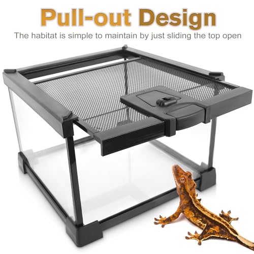 NEPTONION Mini Reptile Glass Terrarium Vivarium 8\'\' x 8\'\' x 6\'\' Full View Tank Small Amphibians Glass Habitat Cage with Feeding Slot & Box Lock Buckle